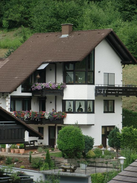 Ferienwohnung Uli Schaetzle Hornberg Exterior photo