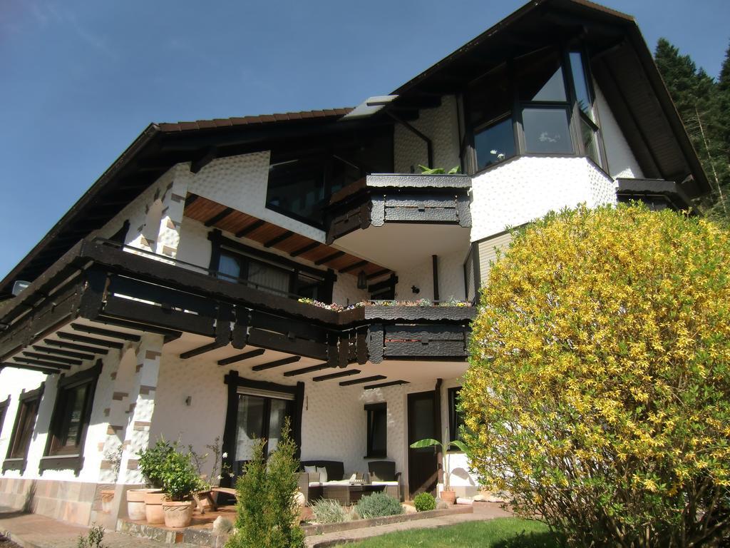 Ferienwohnung Uli Schaetzle Hornberg Exterior photo