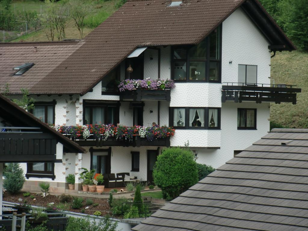 Ferienwohnung Uli Schaetzle Hornberg Exterior photo